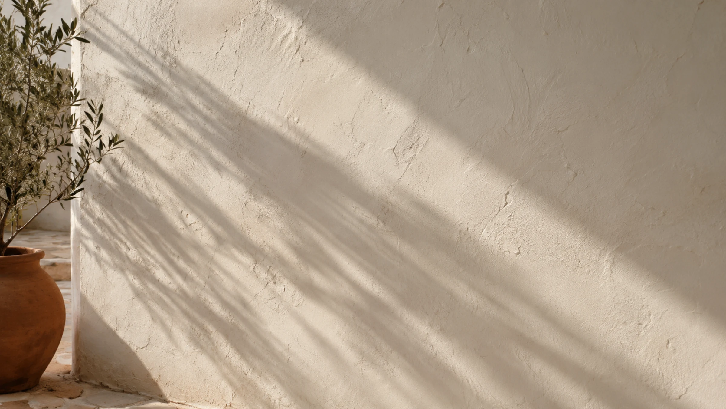 Sunlit limewashed Mediterranean wall with olive-tree shadow